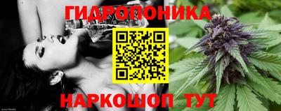 гидра Гусиноозёрск