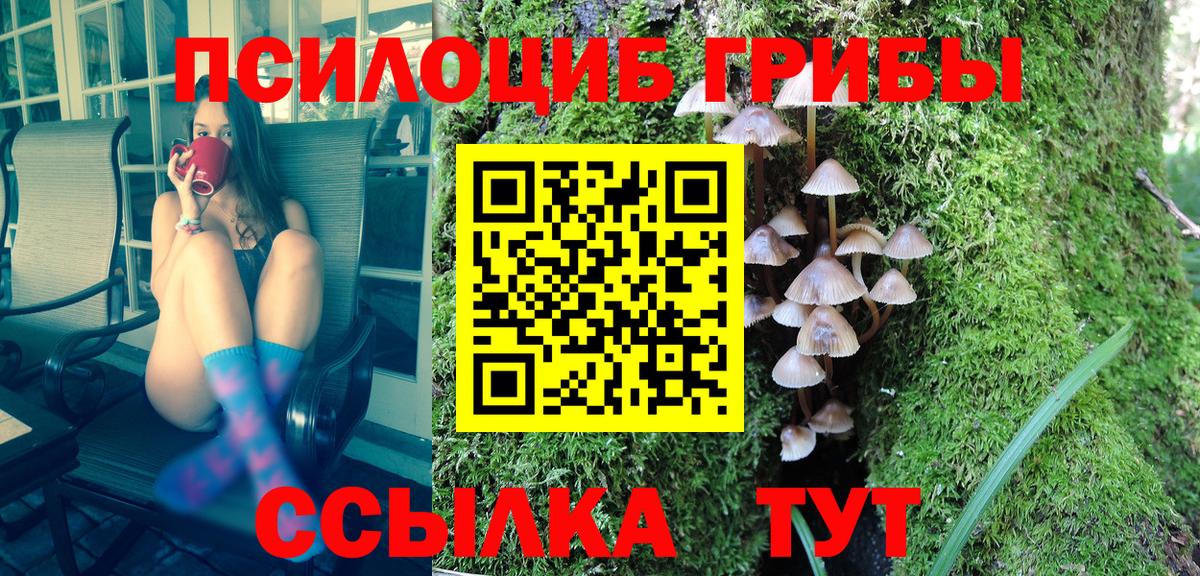 Галлюциногенные грибы GOLDEN TEACHER Назрань