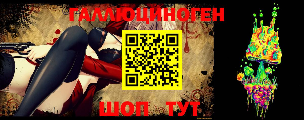 Галлюциногенные грибы Psilocybine cubensis  Вход с VPN  Назрань 